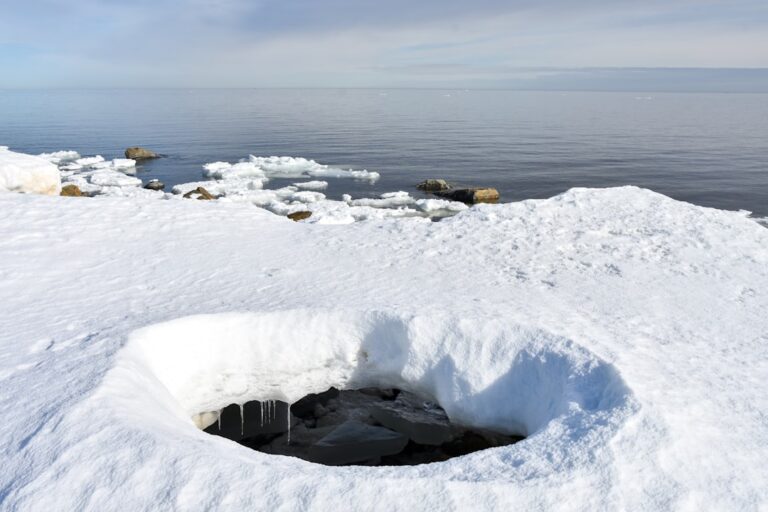Cold Plunge Science: Benefits, Risks & Best Protocol