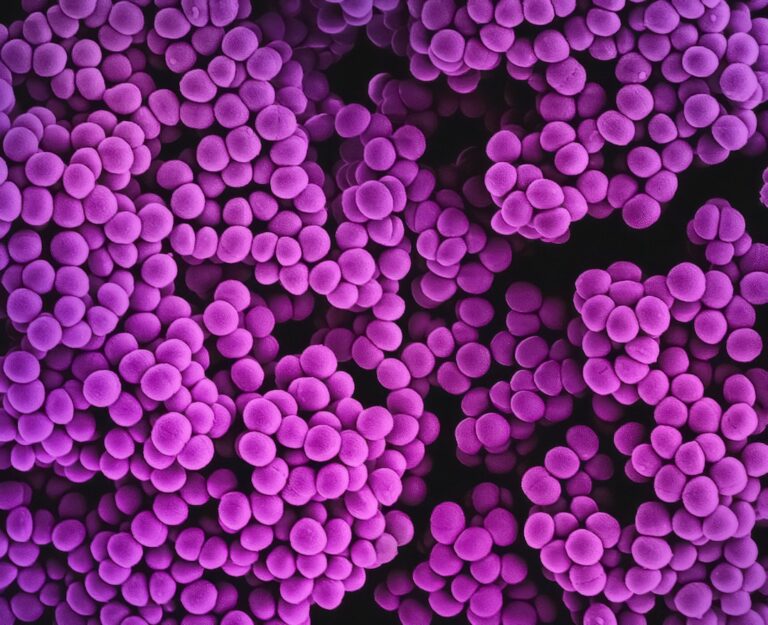 Molecular illustration representing NMN vs NR NAD+ booster comparison for longevity