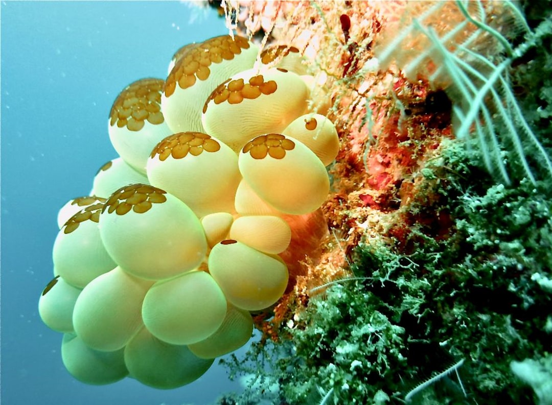 Close-up of human cells under stress illustrating the concept of hormesis and longevity at the cellular level