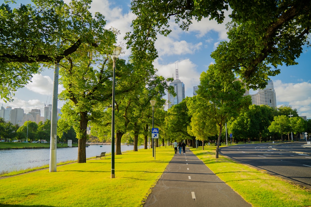 Two adults walking briskly in a sunny park — a free longevity on a budget intervention with strong scientific support