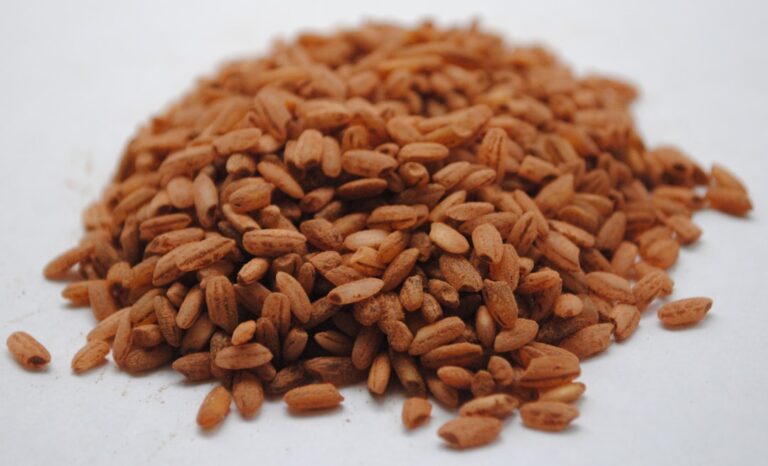 Wheat germ and whole grains rich in spermidine that may support autophagy and cellular health