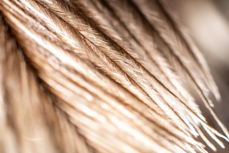 Close-up of a woman with healthy, thick hair illustrating the potential of spermidine for hair loss prevention
