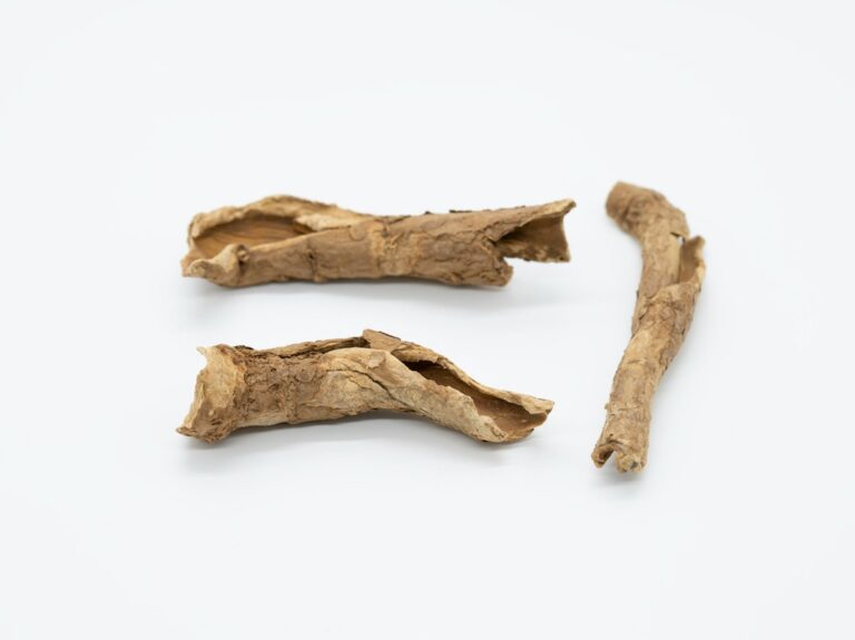 Rhodiola rosea root and ashwagandha powder side by side — comparing two adaptogens for longevity and healthy aging